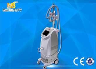 ประเทศจีน Best seller vertical fat freezing cryolipolisis coolsculpting cryolipolysis machine ผู้ผลิต