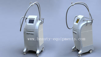 ประเทศจีน 2012 Most Popular Cryolipolysis Fat Reduction Cryolipolysis Machines ผู้ผลิต