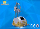 ประเทศจีน Cryo Fat Dissolved Weight Loss Coolsculpting Cryolipolysis Machine โรงงาน